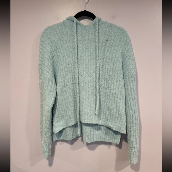 Blue fuzzy altard state hoodie - Picture 1 of 4